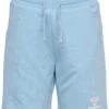 Hummel Flow- Trainingsbroek - Cerulean 2 Hummel Flow- Trainingsbroek - Cerulean -Hummel 0cf2c5b583cc46e48b39ab197ab09f9b