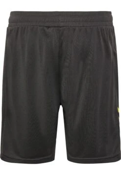 Hummel Hmlactive Pl - Korte Broeken - Obsidian Sulphur Spring -Hummel 11203169bd7d45b89907b96ea2659348