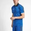 Hummel Fussballauthentic Functional- Poloshirt - Blau