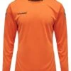 Hummel Longsleeve - Tangerine 2 Hummel Longsleeve - Tangerine -Hummel 4dafee1840464dbd9e16d5e57e9e3d4f