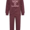 Hummel Arine Set - Trainingspak - Catawba Grape -Hummel 64fe0b0d6e5c4678ba6a62e6e2f5b9ec
