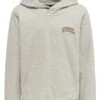 Hummel Hoodie - Light Grey Melange -Hummel 685ffe4c4f1447d880eb13e43f8a3ff9
