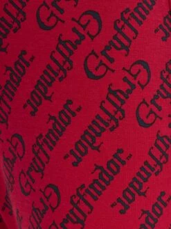 Hummel Hmlharry Potter Nolen- Trainingspak - Scarlet Sage -Hummel d0d5f7ef5be64944ade3cf6b0ab6f752