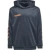 Hummel Promo - Hoodie - Ombre Blue