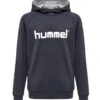 Hummel Logo Hoodie Unisex - Hoodie - India Ink -Hummel f6a83480e99b466287e15329d80a3bd9