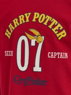 Hummel Hmlharry Potter Nolen- Trainingspak - Scarlet Sage -Hummel fc199fa0fed5435e9d9e51ba891fc583